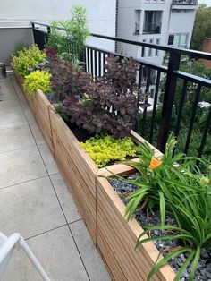 a balcony garden with plants and rocks on the ground, along with buildings in the background