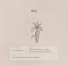 the cover of iris's self - sequence course