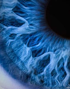 an extreme close up view of the iris of a human eye