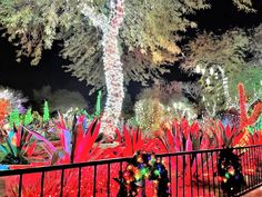 an illuminated garden at night with trees and plants in the foreground, surrounded by lights