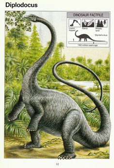 an image of a dinosaur in the wild with trees and bushes behind it, which reads diplobus