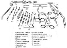 Instruments. Dentist Notes, Dental Hygiene Study, Surgical Assistant, Teeth Whitening Professional, Dental Receptionist