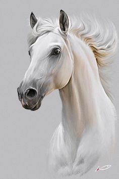 a painting of a white horse on a gray background