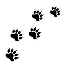 four black and white paw prints on a white background