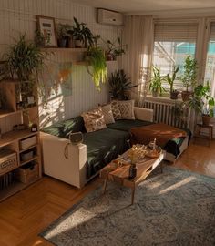 a living room filled with furniture and lots of plants on top of windowsills