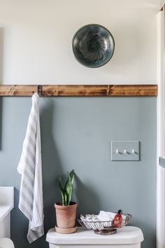 a white toilet sitting in a bathroom next to a potted plant on top of it