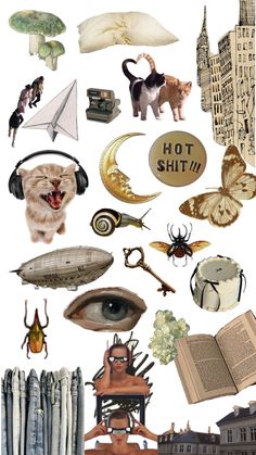 a collage of different types of objects and things that are in front of each other