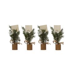 Pine tree place card holders with ribbon and wood square bottoms. Tree Place Card Holder, Holiday Places, Creative Co Op, Easy Organization, Next Holiday, Holiday Dinner, Place Card, Pine Tree, Card Holders