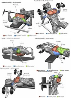 an image of a man doing exercises on the bench with dumbbells and barbell curls