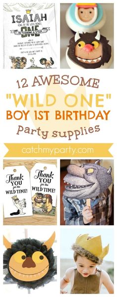 a collage of photos with the words wild one, boy 1st birthday party supplies