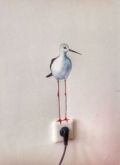 a painting of a seagull standing on an electrical outlet with wires attached to it