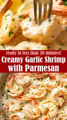 This quick and easy creamy garlic shrimp is loaded with amazing flavor, ready to enjoy in just 20 minutes. Shrimp Pasta Recipes Creamy, Garlic Butter Shrimp Scampi, Creamy Garlic Shrimp, Cooked Shrimp Recipes, Creamy Pasta Recipes, Shrimp Scampi Recipe, Shrimp Recipes Healthy