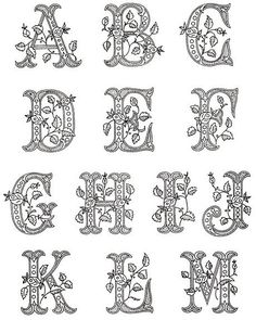 an old english alphabet with flowers and leaves on the upper letters, all in black and white