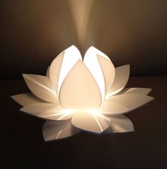 a paper lotus lamp is lit up in the dark