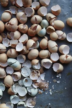 an assortment of broken eggs on a table