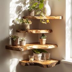 three wooden shelves with plants on them