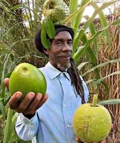 a man holding two green fruits in his hands and wearing a hat on top of his head