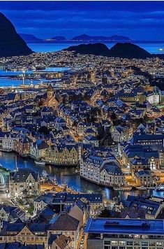 an aerial view of a city at night with mountains in the background and water below