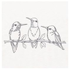 three birds sitting on a branch with leaves in their beaks, one is black and white