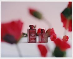 two red perfume bottles sitting next to each other