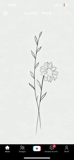 a drawing of a flower on a white background with the text, draw flowers in pencil