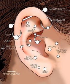 an image of a person's ear with the words instagramm on it