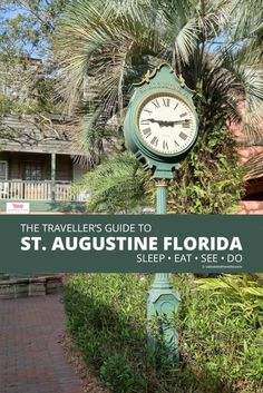 a green clock sitting on the side of a road next to a lush green palm tree