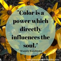 yellow flowers with a quote about color is a power which directly influenced the soul