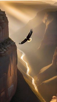 an eagle flying over a canyon with a river in the foreground and mountains in the background