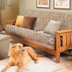 a brown dog laying on the floor next to a couch and chair in a living room