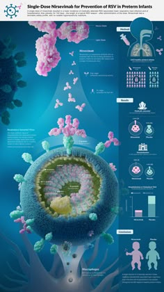 an info poster showing the different types of flowers and plants in blue water with pink, green