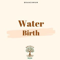 the cover of water birth, featuring a tree with roots on it and an orange background