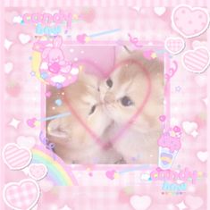 two kittens in a pink frame with hearts