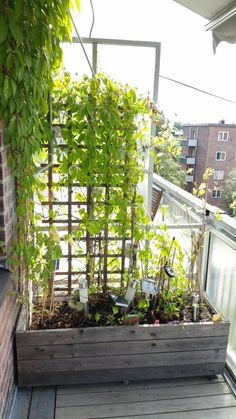 a wooden planter filled with lots of plants on top of a roof next to a brick building