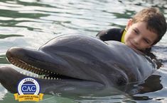 a young boy is swimming with a dolphin in the water and smiling at the camera