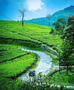 a car driving down a road in the middle of a lush green hill side area