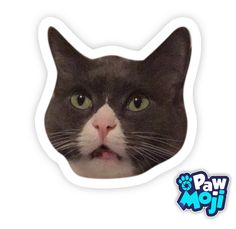 a black and white cat with green eyes looking through a hole in a sticker