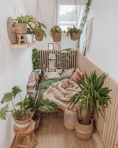 a room filled with lots of potted plants on top of wooden shelves next to a window