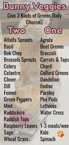 the bunny veggies list is shown in this image