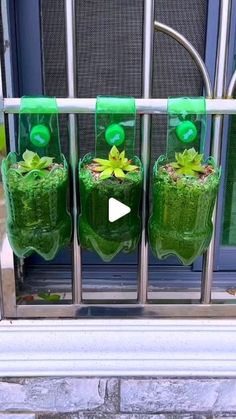 three green vases with plants in them on a window sill