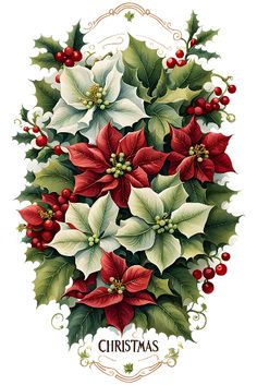 a christmas card with poinsettis and holly