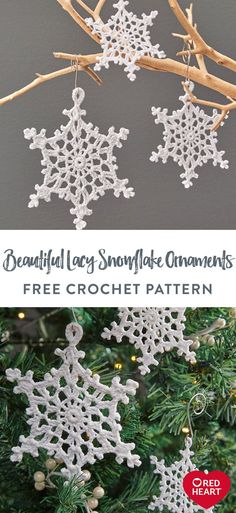 crochet snowflake ornaments hanging from a tree with text overlay that reads, beautiful lacy snowflake ornaments free croche pattern