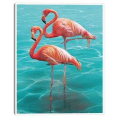 two flamingos standing in the water with their beaks touching each other's necks