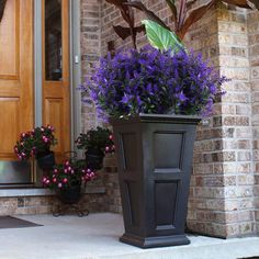 a planter with purple flowers on the front porch