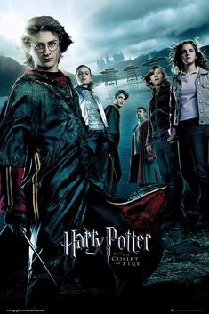 harry potter and hermione's hogwarts poster from the movie series