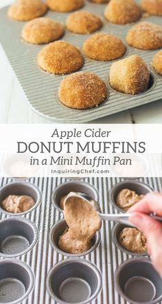 apple cider donut muffins in a mini muffin pan