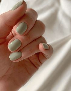 Light green nails are on trend this year, bringing a fresh and vibrant touch to your look. This shade is perfect for adding a pop of color that’s both playful and stylish.
#nailtrends #lightgreennails Green Nail Polish, Colorful Nail, Casual Nails, Green Nail, Colorful Nail Designs, Short Nail Designs