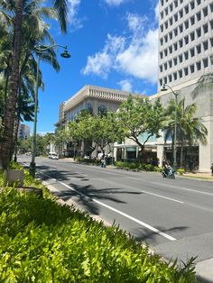 an empty street with palm trees and buildings in the background