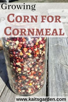 a jar filled with corn sitting on top of a wooden table