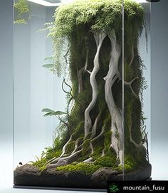 a glass case with moss growing on the sides and trees in the middle, inside